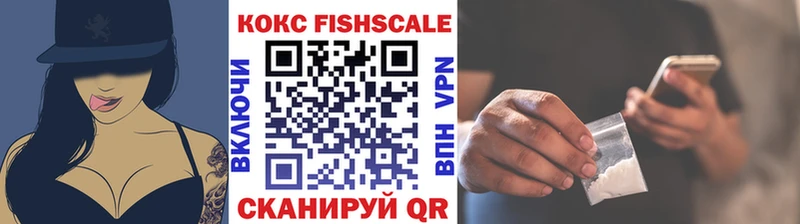 купить наркотик  Суздаль  Cocaine FishScale 