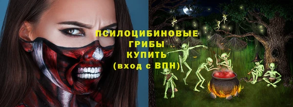 герыч Бородино