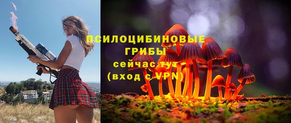 герыч Бородино
