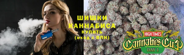 молекула духа Бугульма